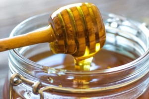 ELLITORAL_387906 |  Gentileza