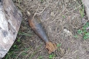 ELLITORAL_374588 |  Gentileza