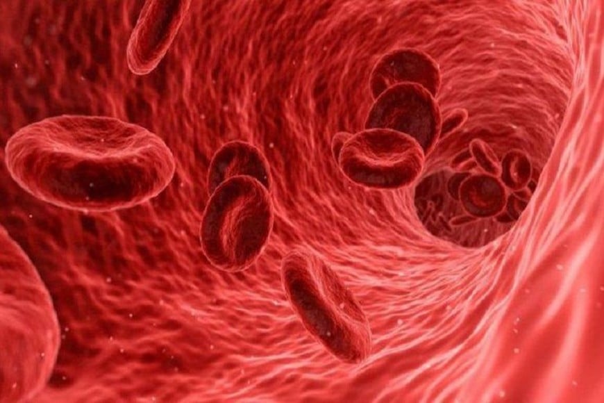 ELLITORAL_329329 |  Captura de pantalla