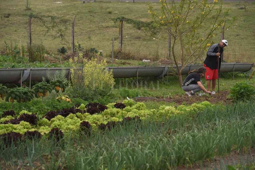 ELLITORAL_328329 |  Gentileza