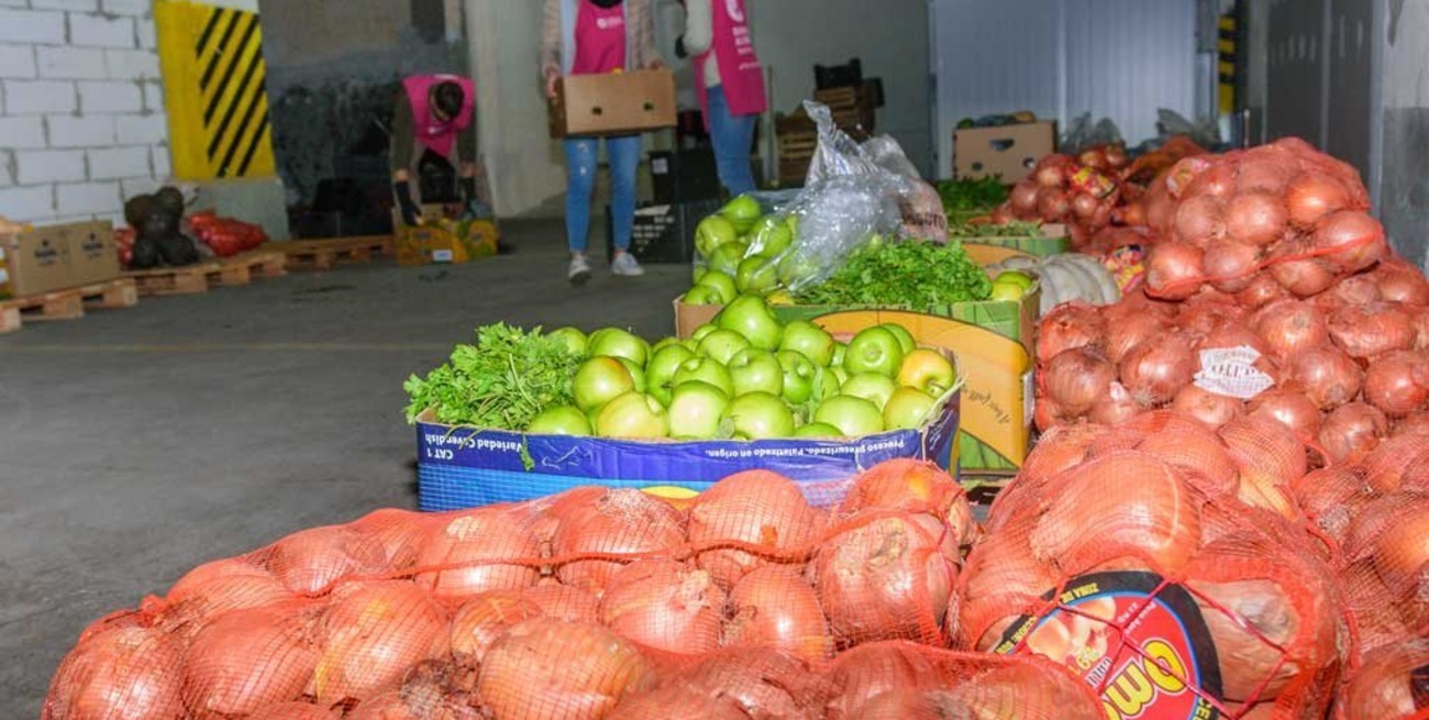 Durante este año el Banco de Alimentos  rescató más de 200 mil kilos de comida