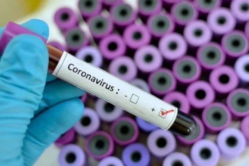 ELLITORAL_358741 |  Gentileza