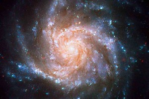 ELLITORAL_402561 |  Imagen ilustrativa