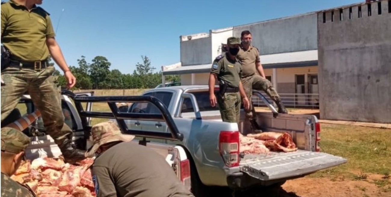 Incautaron más de media tonelada de carne en Corrientes