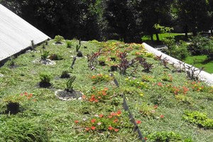 ELLITORAL_399098 |  Gentileza