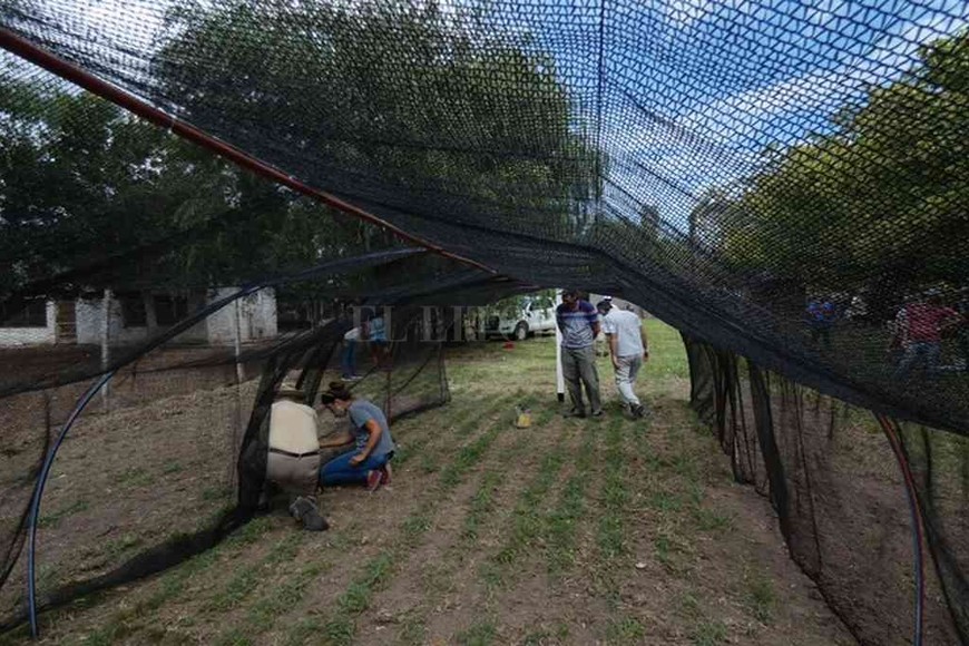 ELLITORAL_362823 |  Gentileza