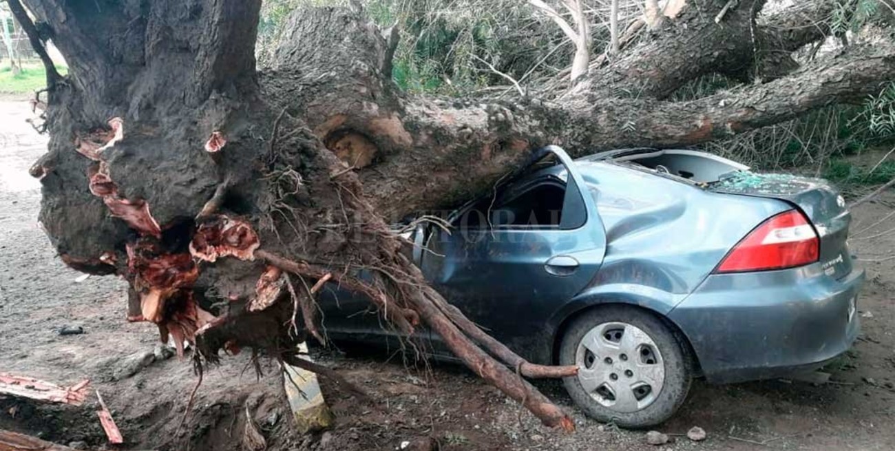Un árbol aplastó un auto en Santo Tomé y dejó un hombre lesionado