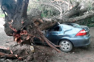 ELLITORAL_403840 |  El Litoral