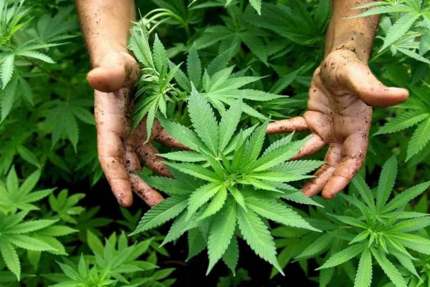 ELLITORAL_313963 |  Gentileza