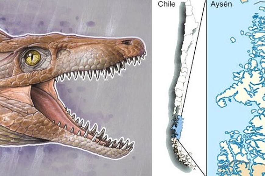 ELLITORAL_392462 |  Captura de pantalla