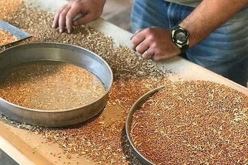 ELLITORAL_346853 | Gentileza