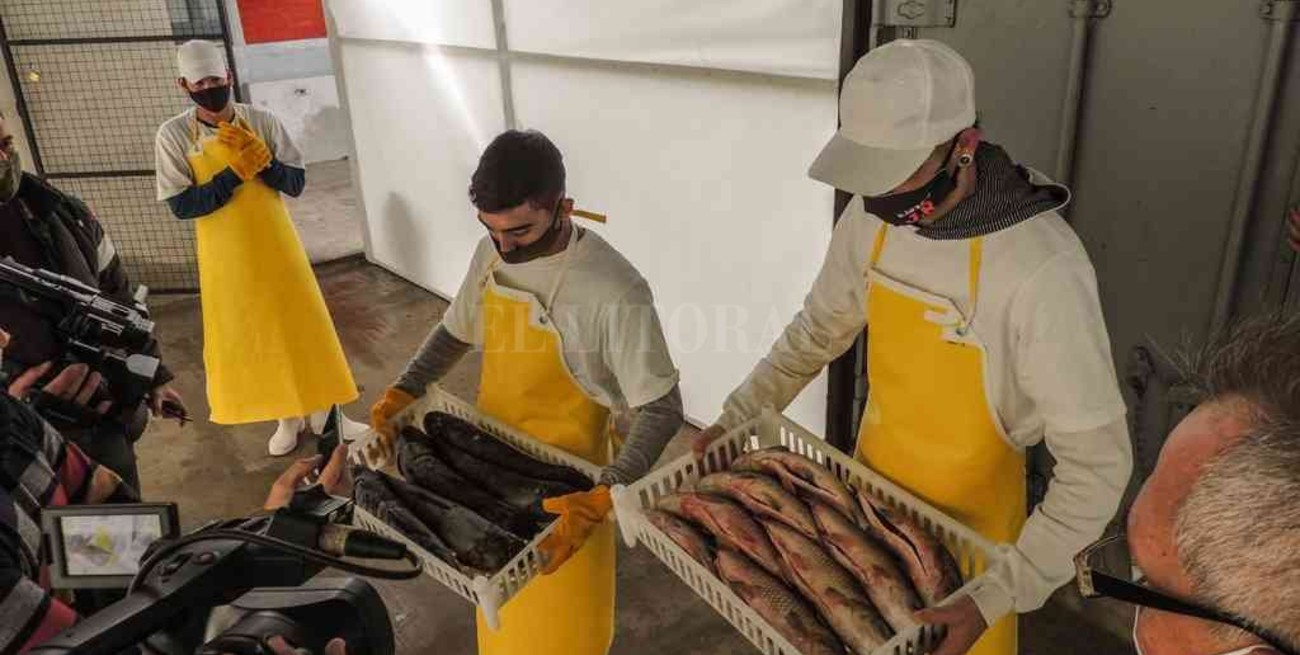 La Cámara de Procesamiento de Pescados suma empleo joven en San Javier