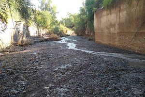 ELLITORAL_356035 |  Gentileza