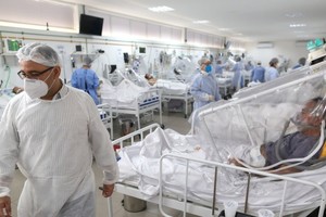 ELLITORAL_352902 |  Gentileza