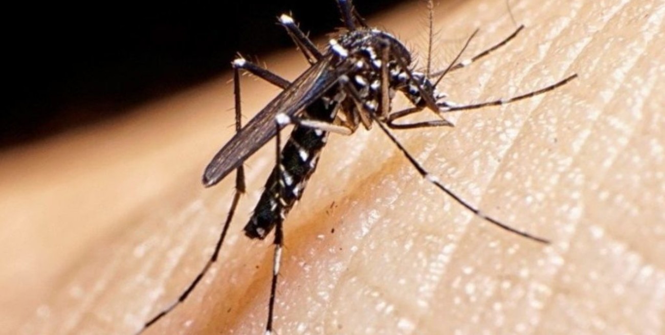 Otra semana con menos contagios de dengue en Córdoba