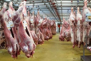 ELLITORAL_346083 |  Archivo El Litoral