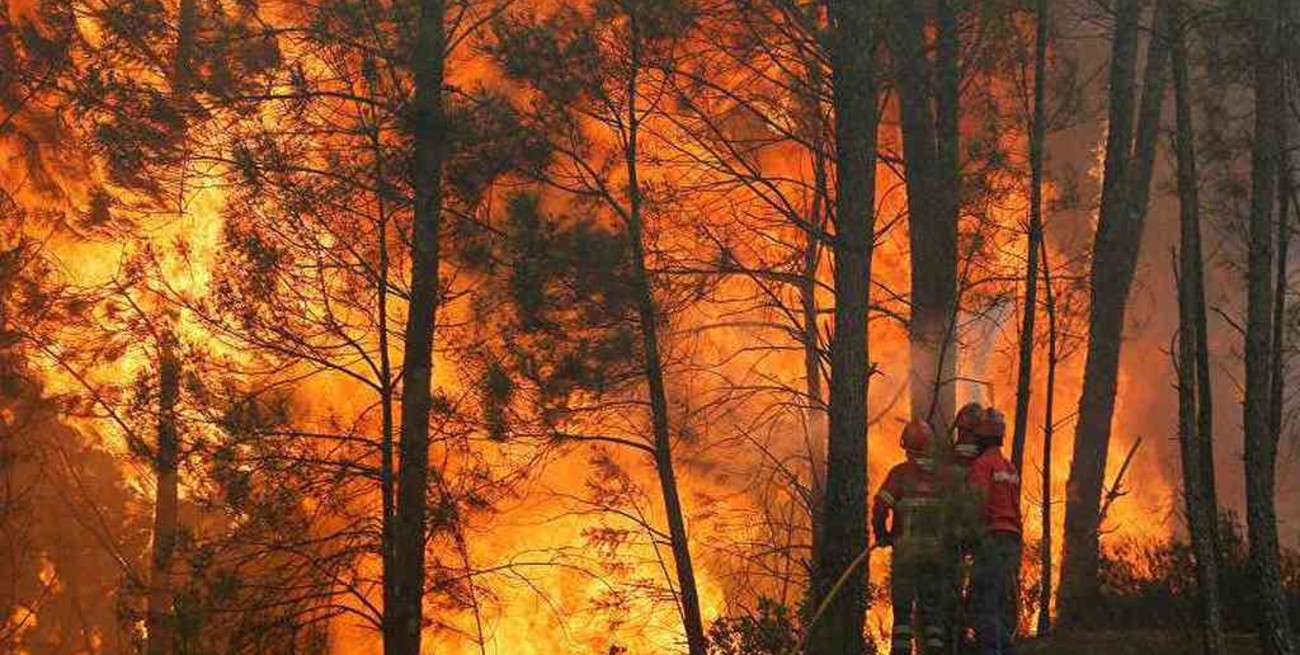 Los incendios forestales arrasan millones de hectáreas en Rusia