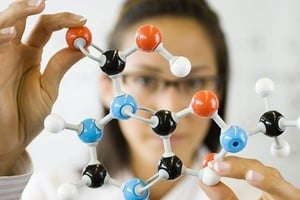 ELLITORAL_398900 |  Gentileza