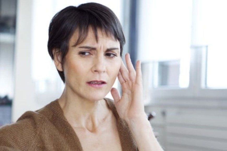 ELLITORAL_402788 |  Gentileza