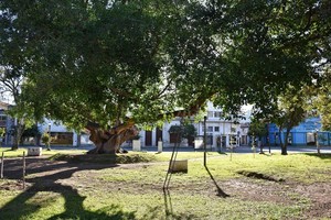 Pablo Aguirre El problema de los Gomeros del Amazonas que habitan la plaza España no es actual sino de larga data.