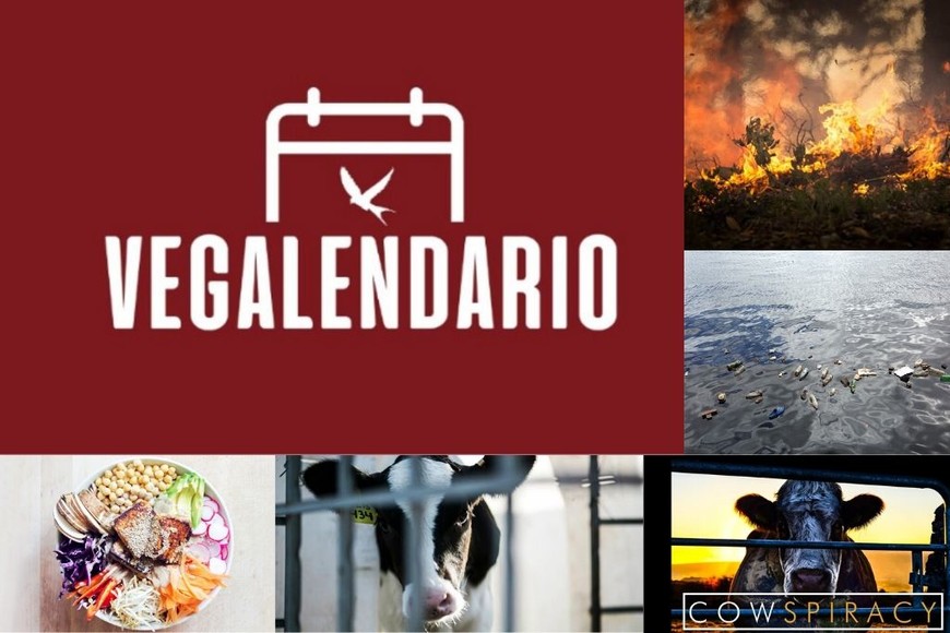 ELLITORAL_279191 |  Vegalendario