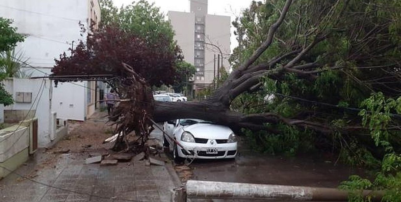 Video: una tormenta de viento causó destrozos en Santa Rosa de La Pampa