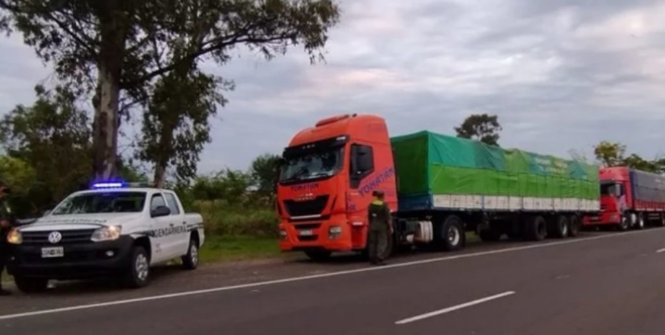 Decomisaron 56 toneladas de soja en Corrientes