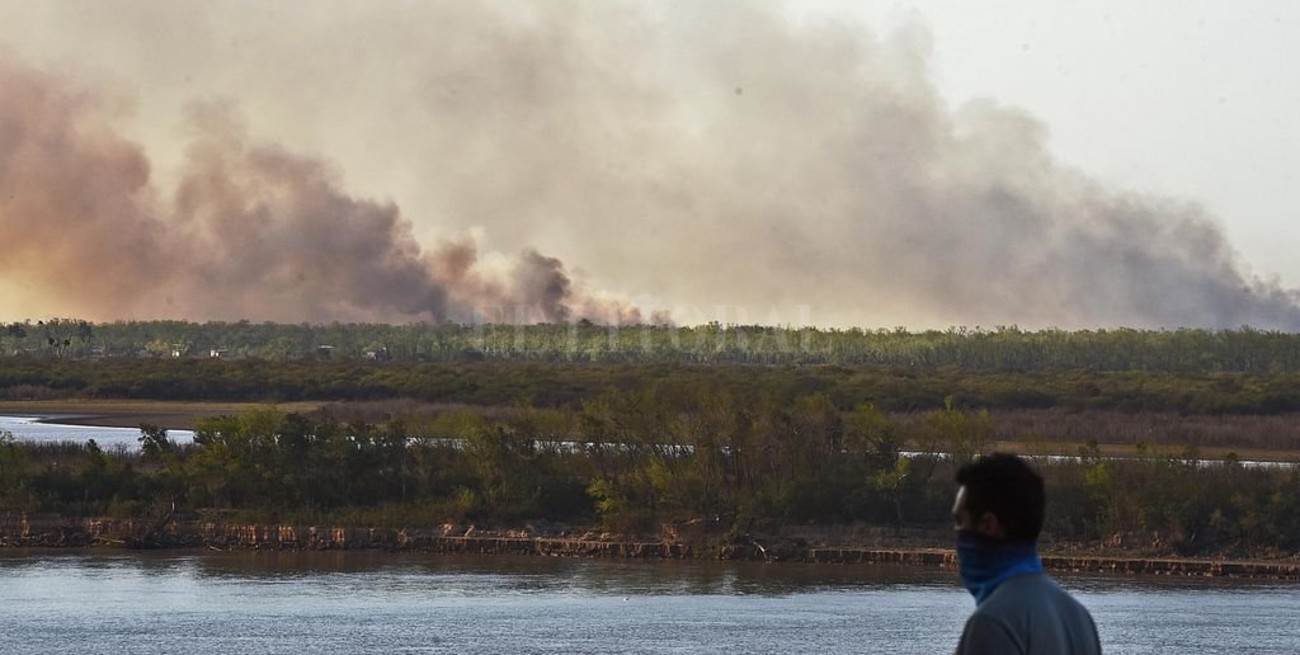 Monitorean el delta ante posibles nuevos incendios por la bajante del Paraná