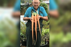 ELLITORAL_367683 |  Gentileza