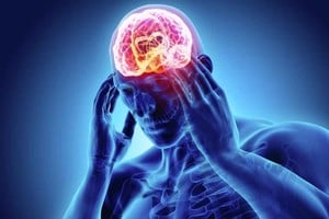 ELLITORAL_389433 |  Gentileza