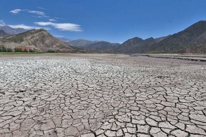 ELLITORAL_402037 |  Gentileza