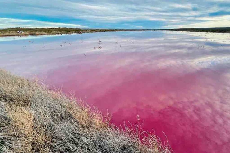 ELLITORAL_391868 |  Imagen ilustrativa Una laguna de Trelew se tiñó de rosa.