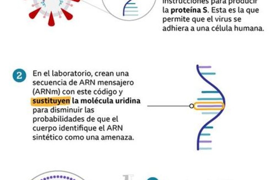 ELLITORAL_341103 |  BBC Según datos de las farmacéuticas, Nature, Pardi y la Universidad de Pensilvania