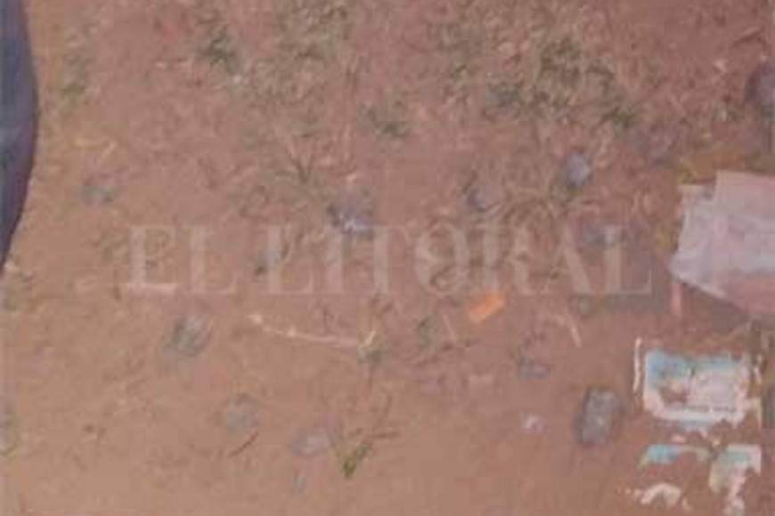 ELLITORAL_400991 |  El Litoral