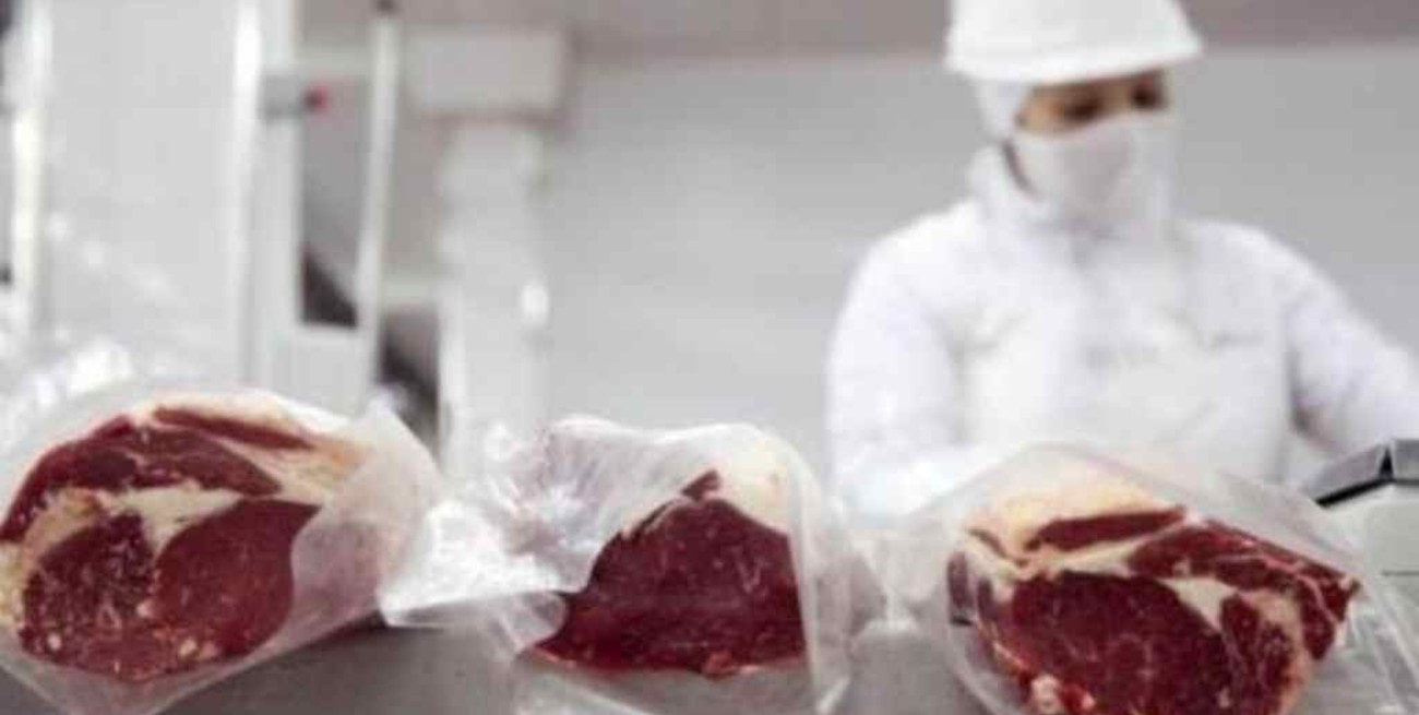 Carne: las exportaciones aumentan en volumen  