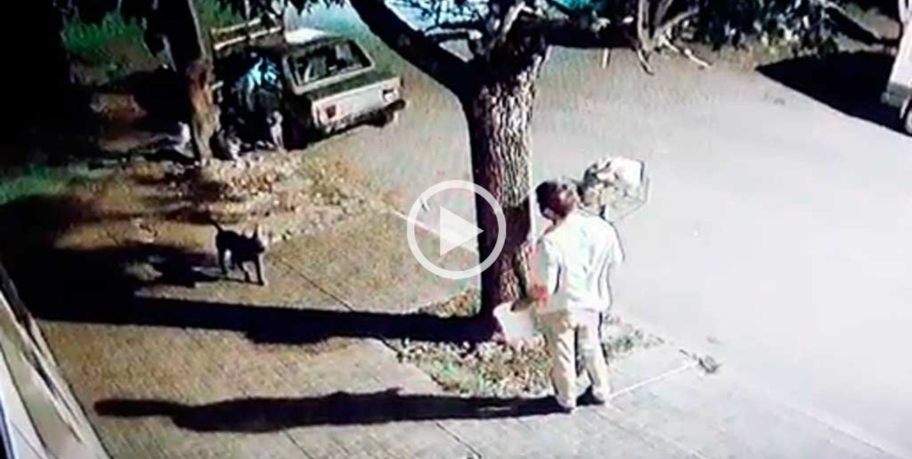 Polémico: un vecino disparó al piso ante el ataque de un pitbull