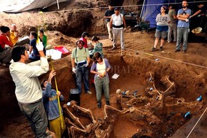 Archivo - El Litoral El equipo trabajó en más de 60 países con víctimas de desapariciones forzadas; violencia étnica, política, institucional, de género y religiosa; desapariciones actuales; narcotráfico; trata de personas, crimen organizado, procesos migratorios; guerras y conflictos armados; accidentes y catástrofes.