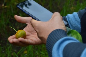 ELLITORAL_382477 |  Gentileza