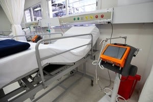 ELLITORAL_405535 |  Gentileza