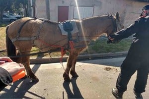 ELLITORAL_394289 |  El Litoral