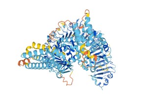 ELLITORAL_391967 |  AlphaFold