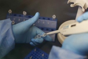 ELLITORAL_336709 |  Gentileza