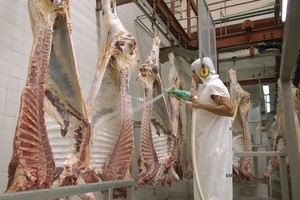 ELLITORAL_401443 |  Pablo Lasansky zzzznacp2NOTICIAS ARGENTINAS BAIRES, JUNIO 2: (ARCHIVO) FrigorÃ­ficos exportadores y supermercados negocian con el Gobierno para intentar destrabar la suspensiÃ³n de exportaciones de carne vacuna, pero por ahora se mantienen en su oferta de garantizar un volumen para el mercado interno de unas 16.000 toneladas mensuales.
Foto NA: PABLO LASANSKYzzzz
