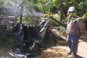 ELLITORAL_297595 |  Gentileza