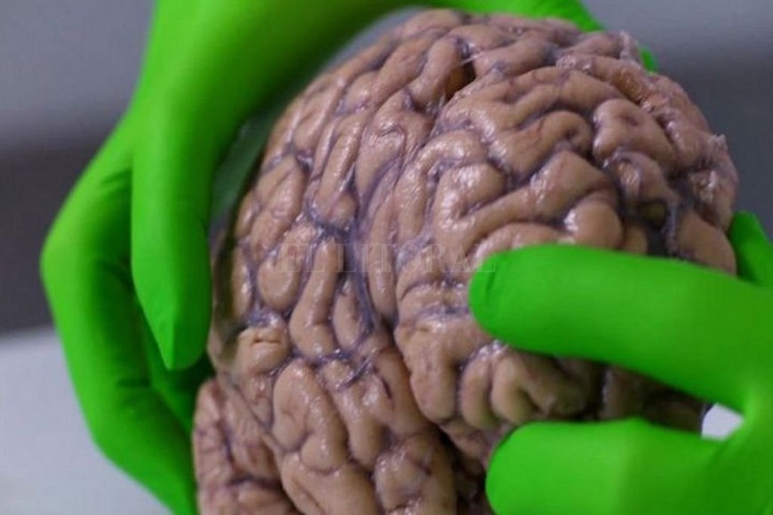 ELLITORAL_322441 |  Captura de pantalla