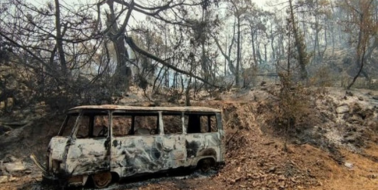 Erdogan sospecha que los bosques del sur de Turquía fueron incendiados intencionalmente