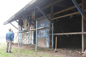 ELLITORAL_390832 |  Gentileza