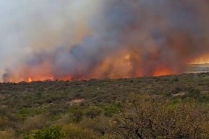 ELLITORAL_385051 |  Gentileza