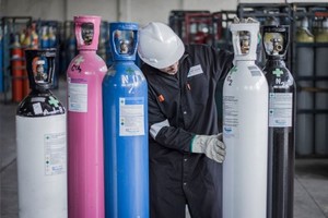 ELLITORAL_373017 |  Gentileza