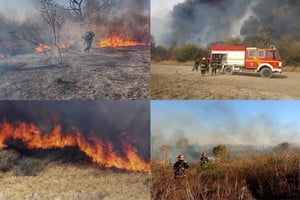 ELLITORAL_330080 |  Gentileza